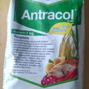 Antracol