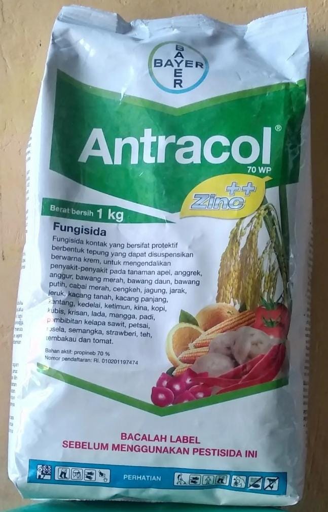 Antracol