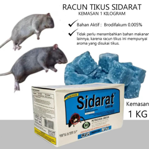 Sidarat