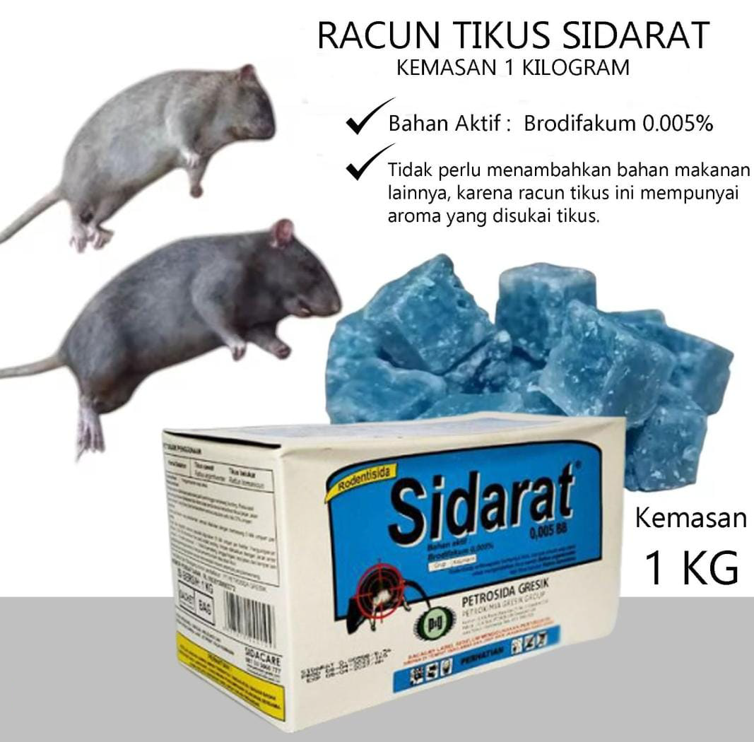 Sidarat